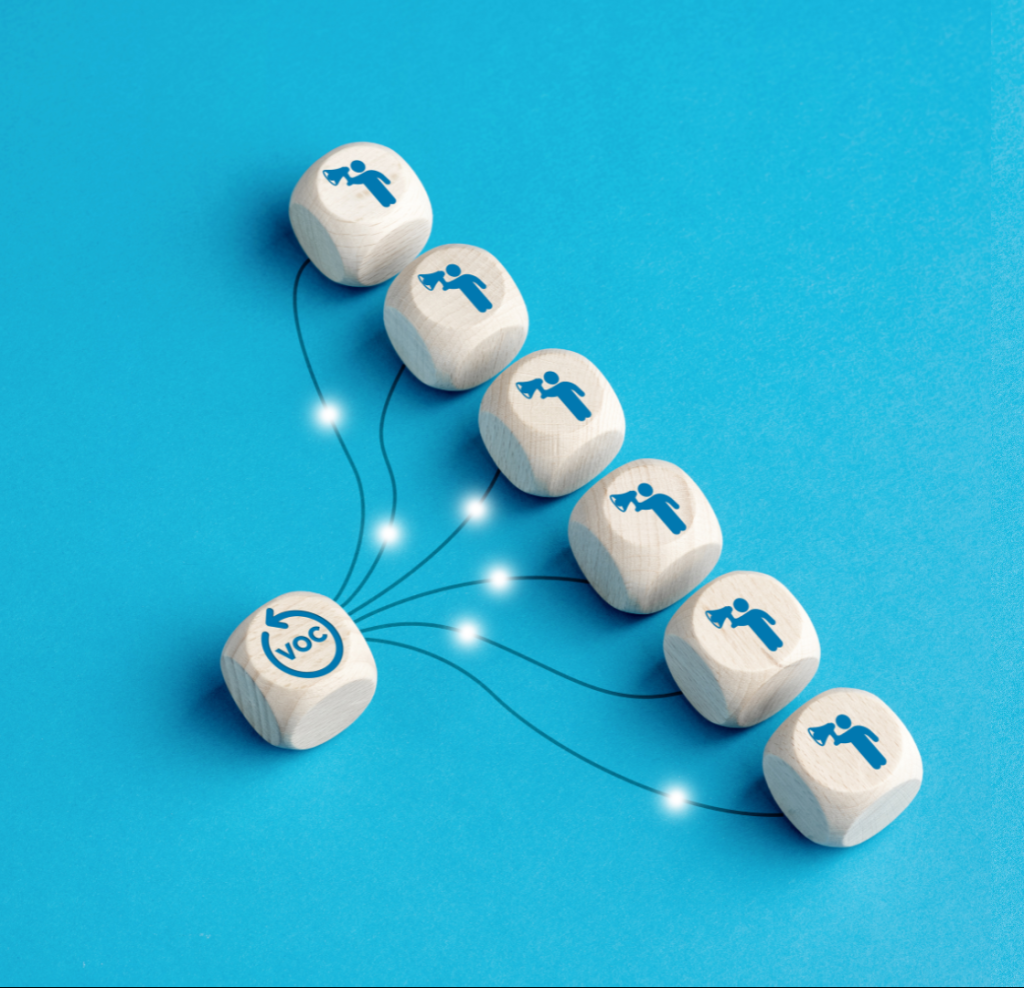 Voice of the customer tools